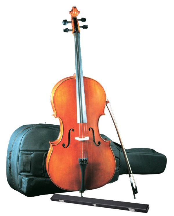 https://www.suzuki-gengakki.jp/wp/wp-content/uploads/2022/08/eastman_cello.jpg