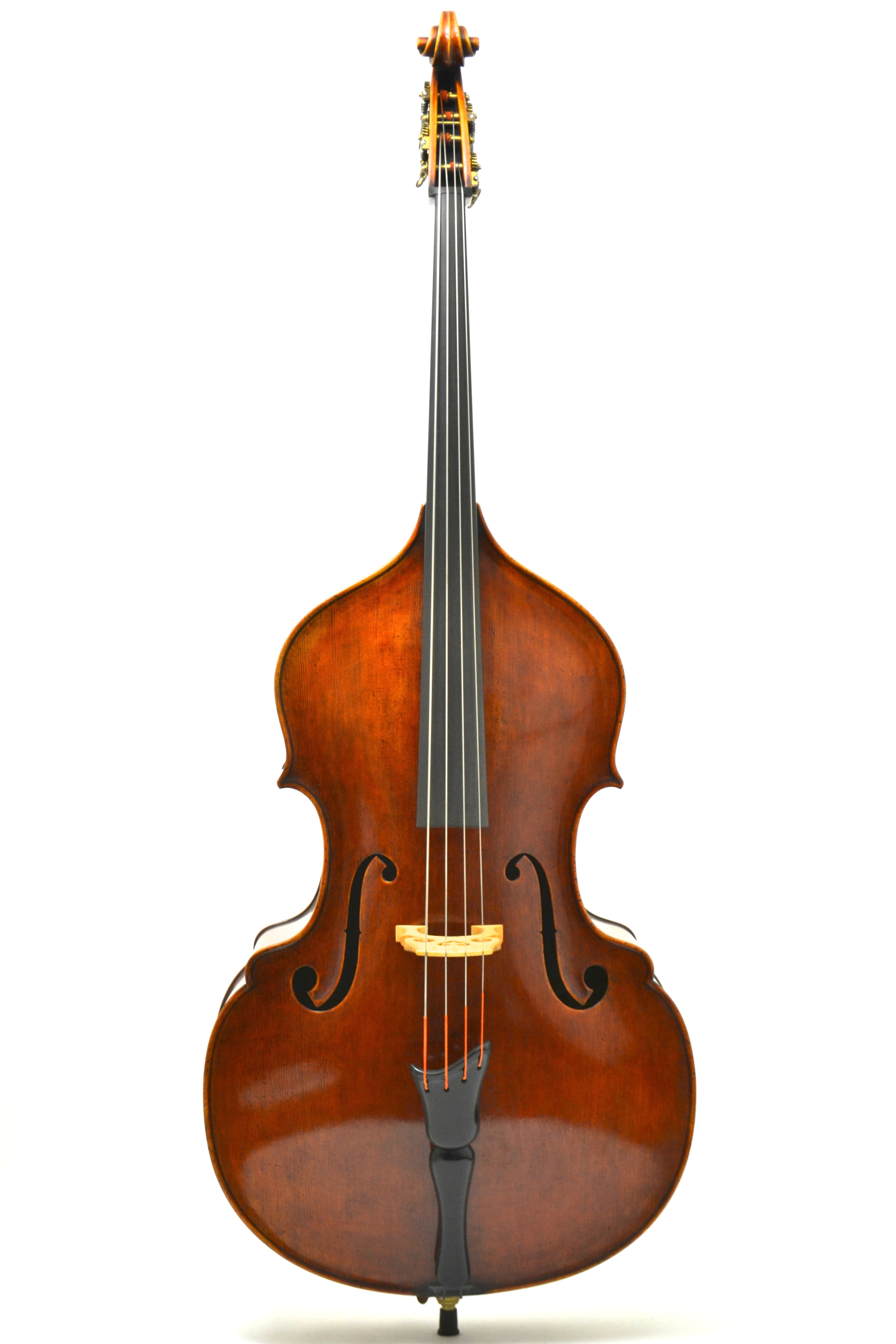Pöllmann Busseto