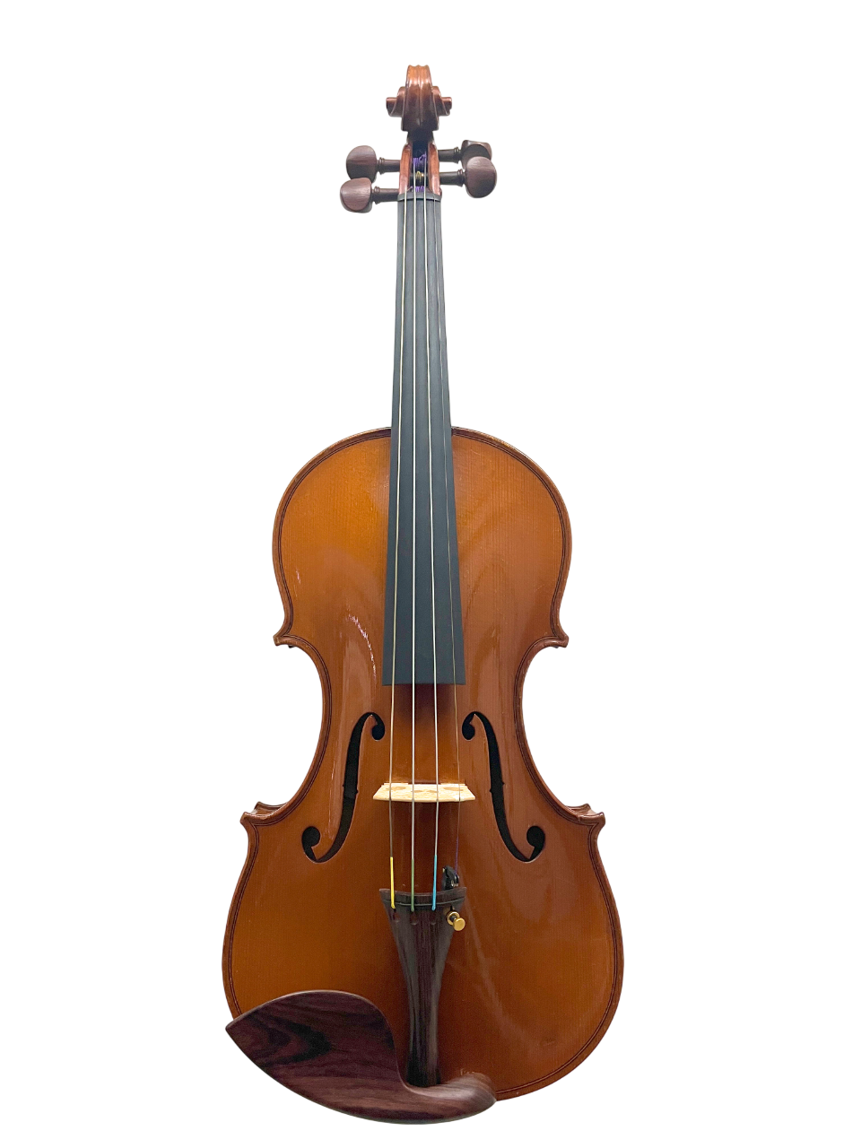 Violin | 鈴木弦楽器